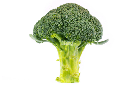 Fresh Green Broccoli