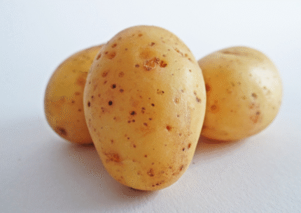 Fresh Farm Potatoes